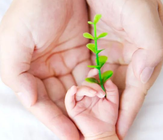 1721894568260311.png image.png